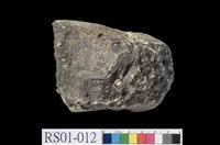 藏品(礫岩)的圖片